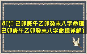 🦊 己卯庚午乙卯癸未八字命理（己卯庚午乙卯癸未八字命理详解）